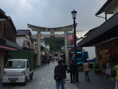 炯񂳂̔~}݂ւ̓eʐ^1