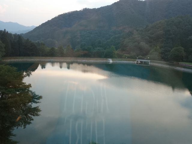 �z�e���{�فA���r���̕����̒��߂ł��B_���j�g�s�A�������