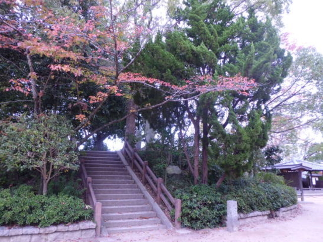 ��N�񂳂�̎O�؏�Ղ̓��e�ʐ^1