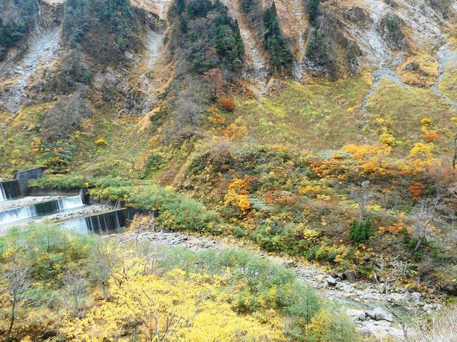 �r���̖̏���_�̖���