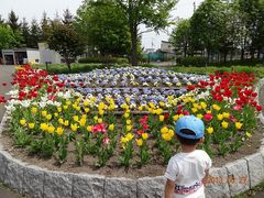 昭和公園 北海道函館市 の写真一覧 じゃらんnet