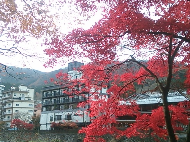 �݂苴��n���āA���̌��ق�������_�������݂����C��