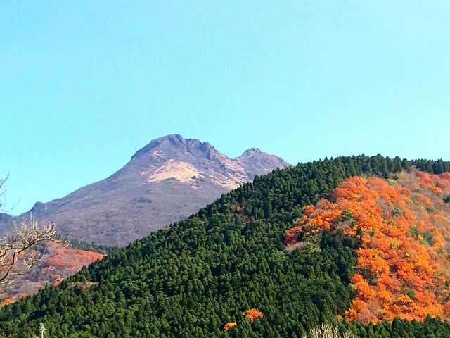 VC̗ǂ́Ał͂茩܂B_Rzx