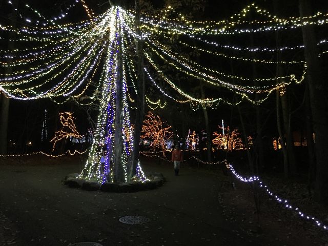 �C���~�l�[�V�������ō��ł����B_���c�A���v�X���Â݂̌����@�x���E�䍂�n��