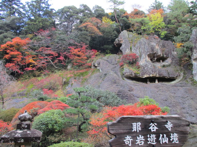 ���ƍg�t���f���炵���i���������x���������j�B_�ߒJ��