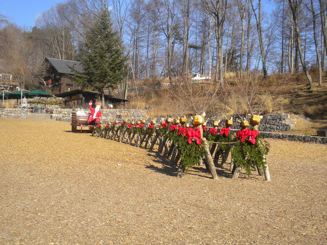 L̐^񒆂ɖ؂ōgiJC
ڗ܂AFʐ^BĂ܂ˁB_G؂̑@CtFA