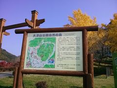 紅葉が見頃です 大津山公園の口コミ じゃらんnet