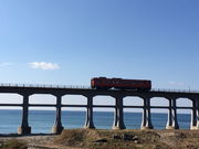 ec̖kYC݁iތ?Fcj̓eʐ^2