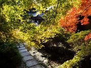 �T�|�[�g����̍O�쎛�̓��e�ʐ^3