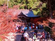 maneki̐mR_ЁiRj̓eʐ^2