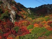 ۂۂ񂳂̊k[vEFC̓eʐ^1