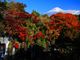 イカビンさんの白糸の滝（静岡県富士宮市）への投稿写真3