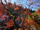 hiroさんの秋月城跡の投稿写真3