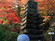 北斎さんの永源寺への投稿写真3