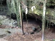 肱ƂƂ̌FP̌̓eʐ^2