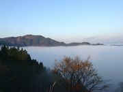 肱ƂƂ̍Pủ_C̓eʐ^2