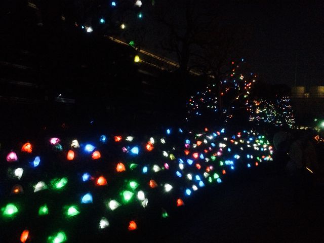 �����͂������Y��ł����I_�W���C�i�X�̐X��������