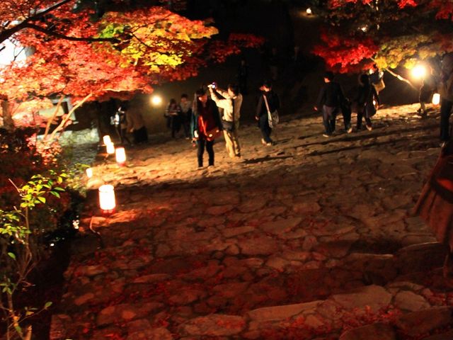 本殿石段の上から見下ろして_神護寺