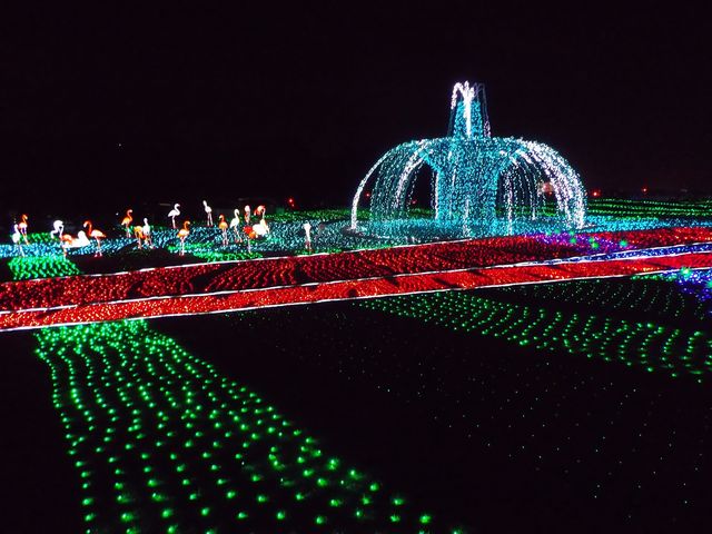 �����h�C�c��