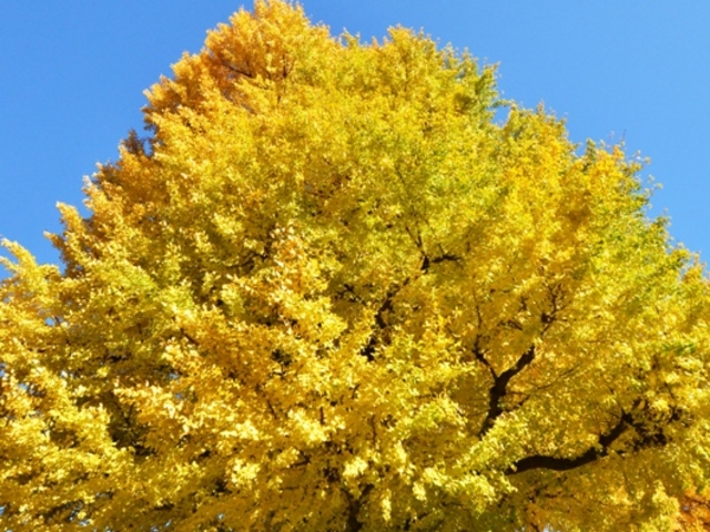 �����ّO�̑���_�k�̊ی���