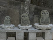 傤񂳂̑(C`Ej̓eʐ^1