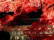 p7777777̐_쎛̓eʐ^2