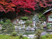 p7777777̐뉀̓eʐ^1