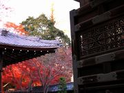 p7777777̐뉀̓eʐ^2