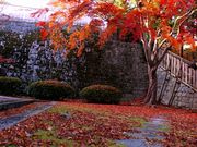 p7777777̐뉀̓eʐ^3