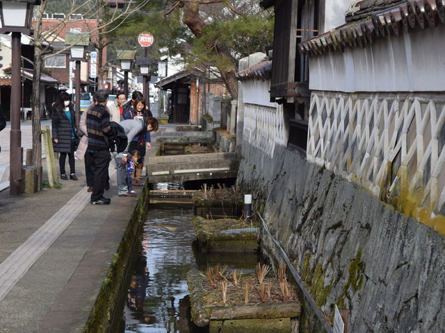 ̂̓ŷ܂܎cAx炳Ă܂B_a@