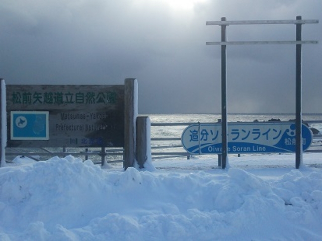 �C��_���O��z�������R����