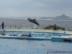 L[vX}C̉Cقւ̓eʐ^3