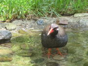 悳񂳂̃oNCiԓWwK{݂̓eʐ^1