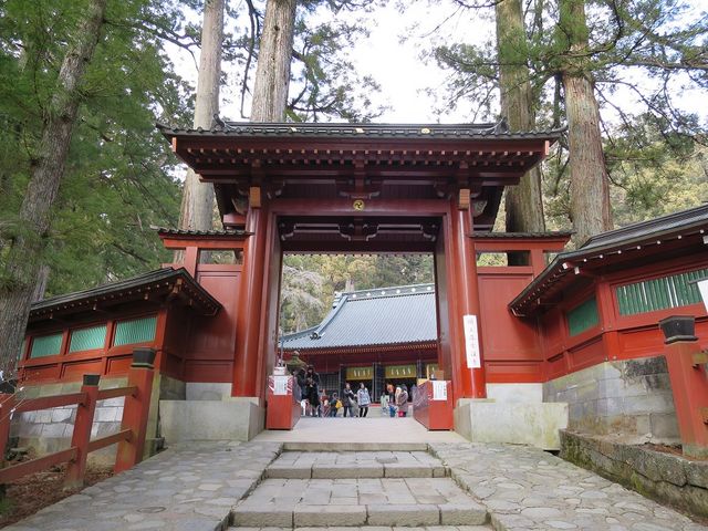 ��r�R-�R��_������r�R�_��