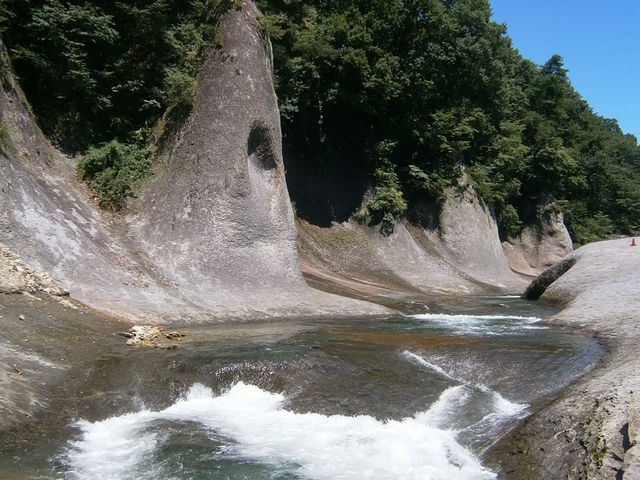 ��ǌQ_�����̑�