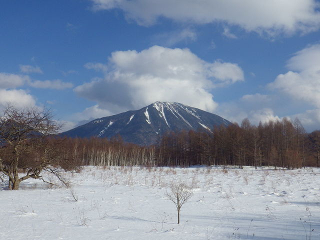 戦場ヶ原 戦場ヶ原 - Wikipedia