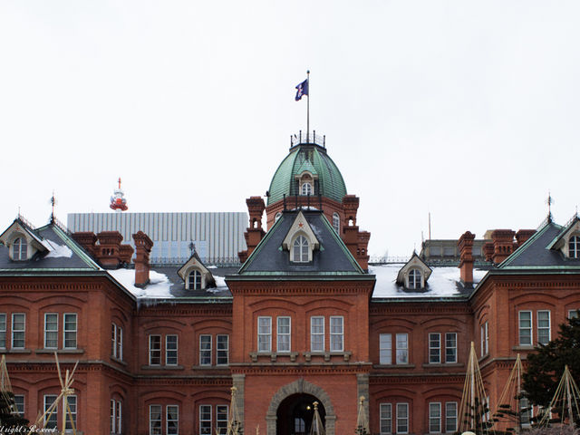 ��̃��C�g�A�b�v���f�G�݂����ł��B�����������w���o���A�k�C���̗��j���w�Ԃ��Ƃ��o���܂����B_�k�C�������{����(�Ԃ�񂪒���)