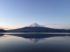 dingjunkmさんの富士山（山梨県鳴沢村）の投稿写真1