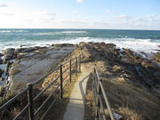 �`�����ɋ؂���̉Ĉ䃖�l�͂܂䂤�����̓��e�ʐ^1