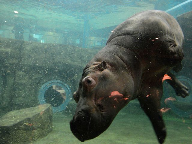 ���R������