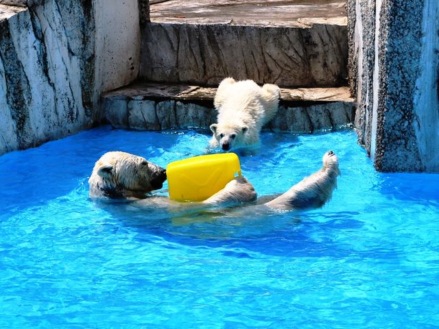 �ꂳ�񂭂܂̂�炿���ɍ��N���Ԃ����a���I�܂��܂����΂܂����e�q�̋Y�ꂪ�����t���҂��������I_�~�R������