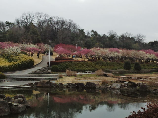 ��O�̘a���뉀�̋���n��Ɣ~���ł��B_�卂�Βn