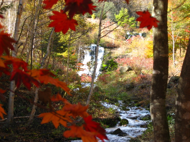 `c~{SP͂̐̏ɂ܂B_`c{~SP