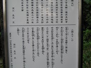 ܂񂳂̐Δn̓eʐ^4