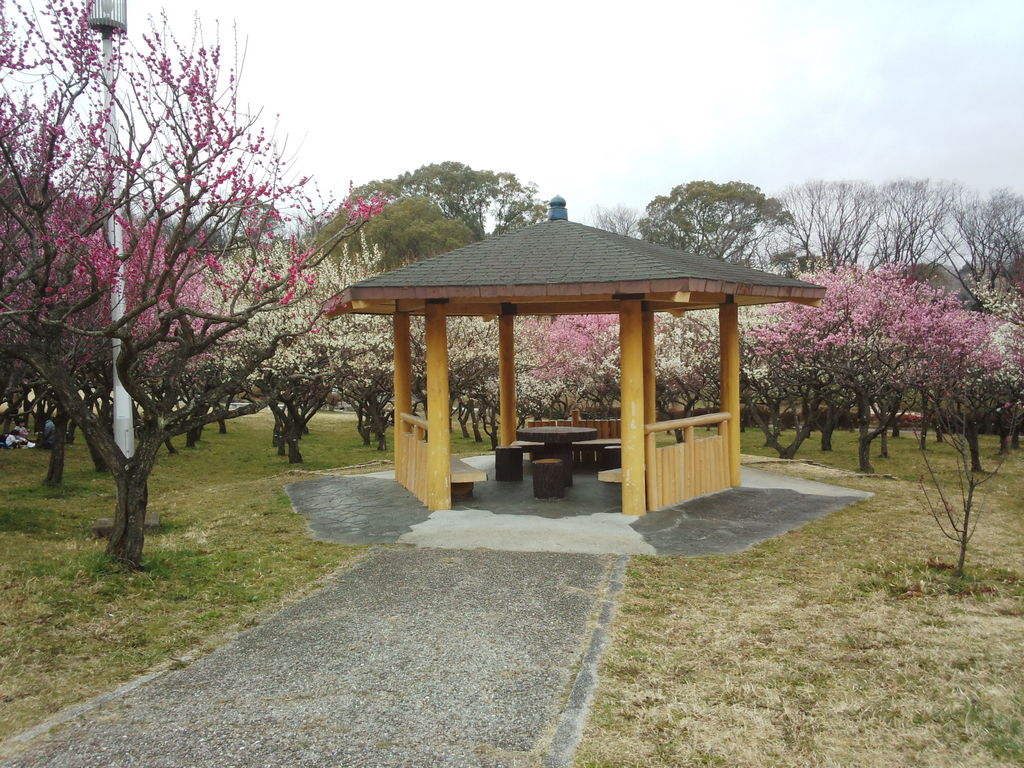 大高緑地