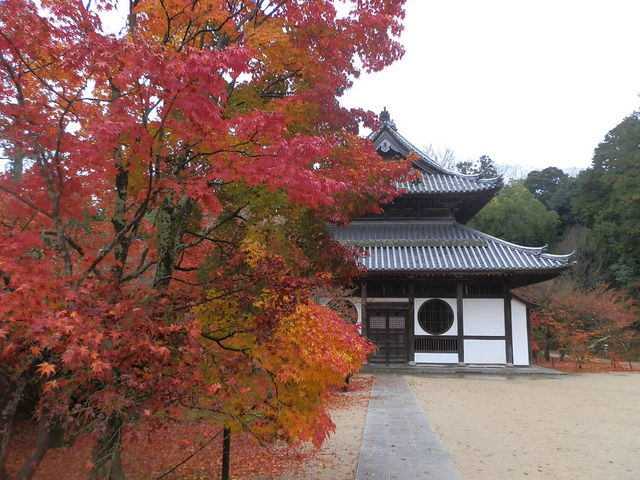 良)真作/東福寺派管長/井山宝福寺/岡田熙道/布袋屋掛軸HK-134 臨済宗東福寺派 井山宝福寺