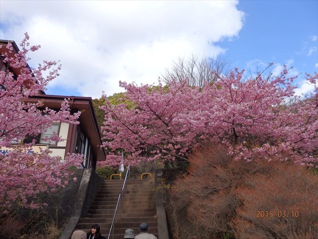 ̊KioΊόZ^[BtoO̖J̍͂ƂĂꂢB_όZ^[