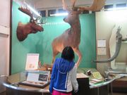 50̃Xm[{[h񂳂̖K΃iE}]Eق̓eʐ^3