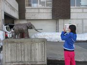 50̃Xm[{[h񂳂̖K΃iE}]Eق̓eʐ^5