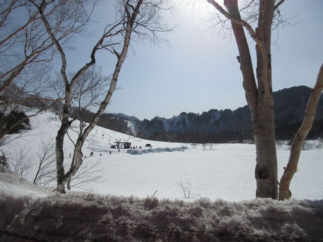 �k���G���A�i�����j_�u�ꍂ���@�،˒r����X�m�[�p�[�N